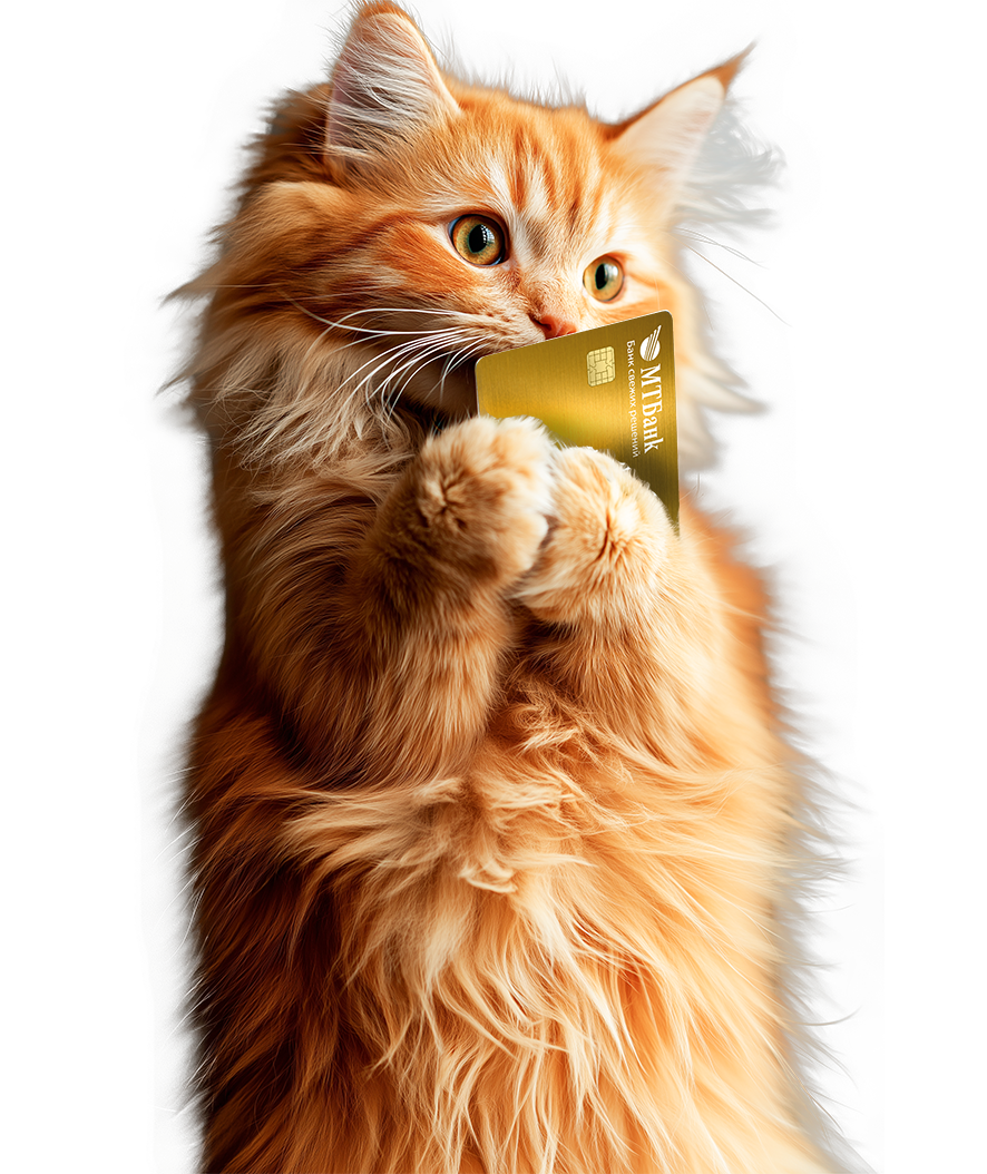 выгодная карта для покупок "Шоппер" - заказать карту